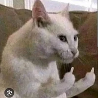 t/g bị nhây🎀(Miko)