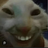 trợ lý t/g bj khùng(su)