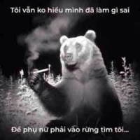 Con gấu nghiện ngập/Hệ thống