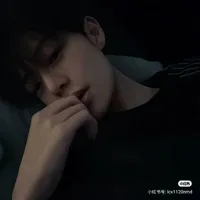 Việt Anh