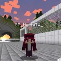 hachi tv
