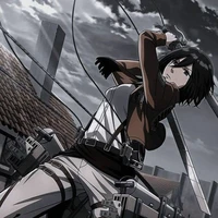 ❀ Mikasa_Ackerman ❀