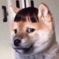 hẹ hẹ hẹ