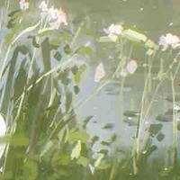 Tác giả bị tửng