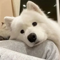 Nguyễn Cao Thắng