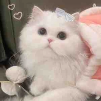 Yuki nèeee