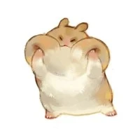 Hệ thống(meo meo)