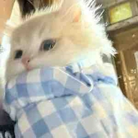 Tác giả cute số 1 tg 