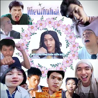 Don_cutiii