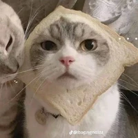 Tác giả sắp drop -))