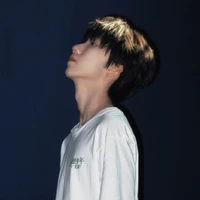 Nhiếp Vĩ Thần_Anh