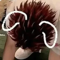 Cừu bông 🐑💤♏