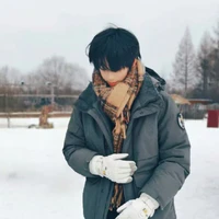 Vương Lỗ Kiệt