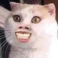 tất cả hiha aut