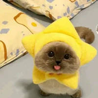 all