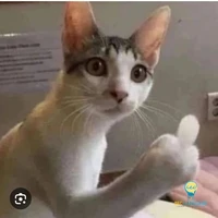 nhân vật quần chúng