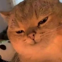 Hệ thống 025/jura