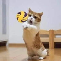 tác giả