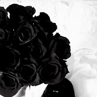 Cả bọn [Trừ những ai cần trừ].