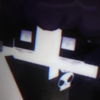 hiha_33chops(chép)