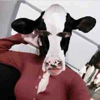 Gọi tắt là vợ 🤡