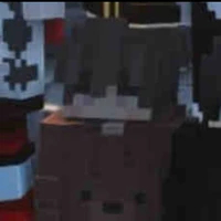 Bear See Tình