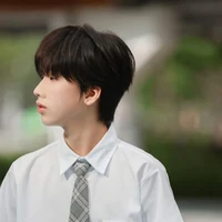 Nhiếp Vĩ Thần-bạn anh-