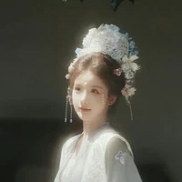 Kiều Ánh Vân( quý phi)