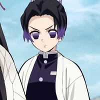 Shinobu-12t