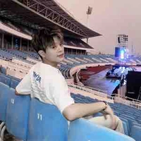 nguyen quang anh 
