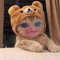 meomeo xik iuu