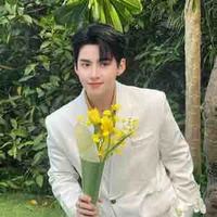 Hùng Huỳnh (Gemini)