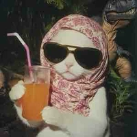 Poppi thích ngủ💤