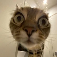 namymazeol đayyy