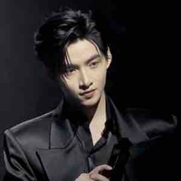 Huỳnh Hoàng Hùng (Gemini)