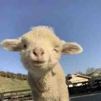 Hệ Thống Của allbot