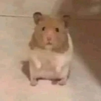 t/g