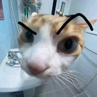 Tg lười vt truyện