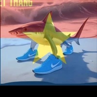 t/g đang đais đừng làm phiền 