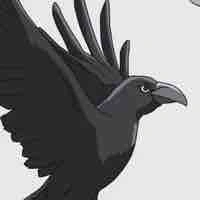 Muginn
