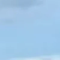 Giáo Viên Giám Sát