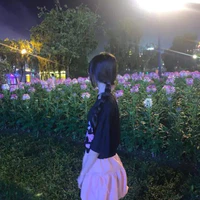 Tác giả Zin