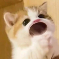 tác giả