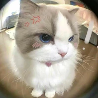 quỷ