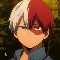 Todoroki shoto