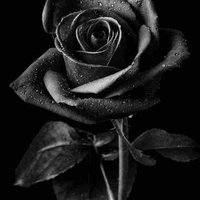 Nhân vật tổng hợp