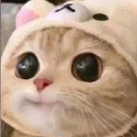 Cân mọi nhân vật