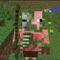pigman