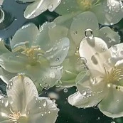 nhóm bot - ai thì trừ