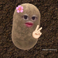 t/g